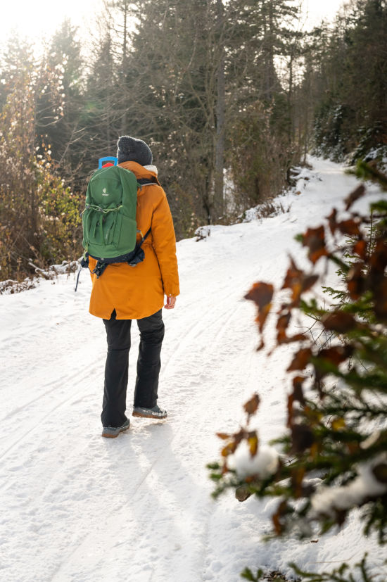 Wanderung zur Hengsthütte am Schneeberg im Winter