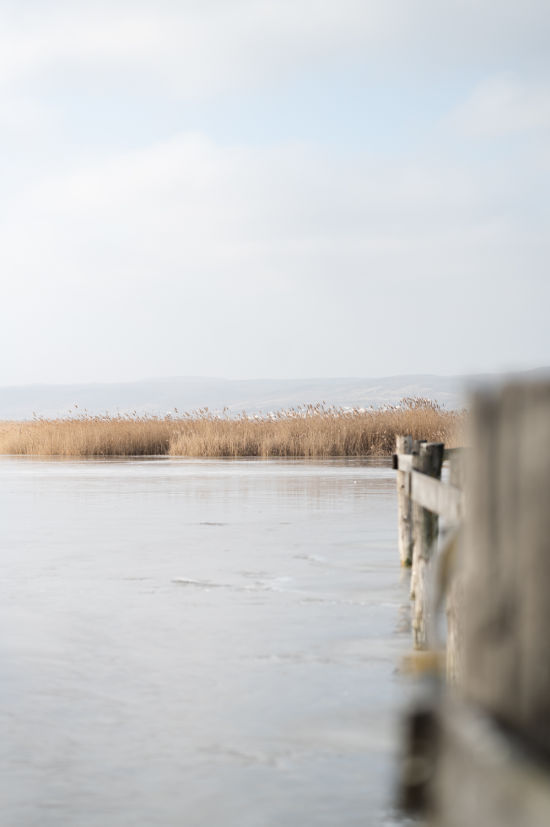 Steg mit Blick über den gefrorenen Neusiedler See