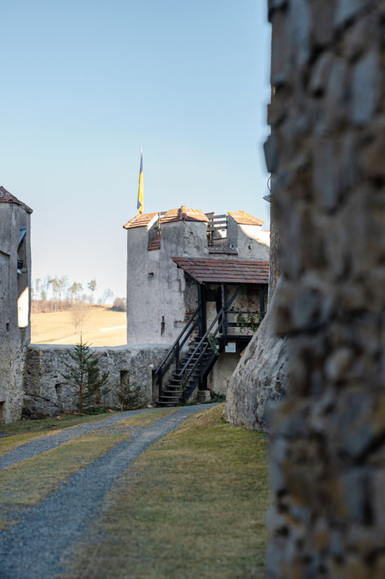 Ruine Kirchschlag, äußerer Burghof