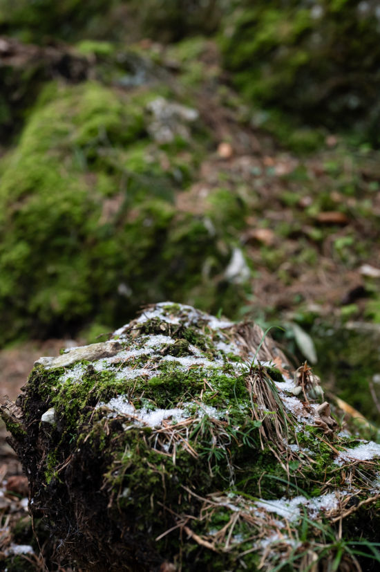 Bemooster Stein mit Schnee am Wanderweg zur Luckerten Wand bei Breitenstein