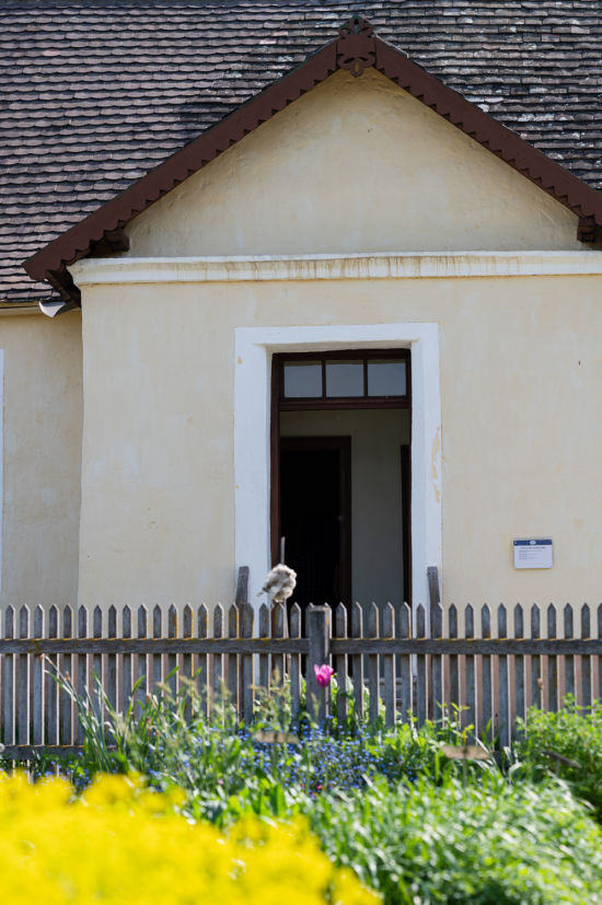 Schule mit Schulgarten im Museumsdorf Niedersulz im Weinviertel