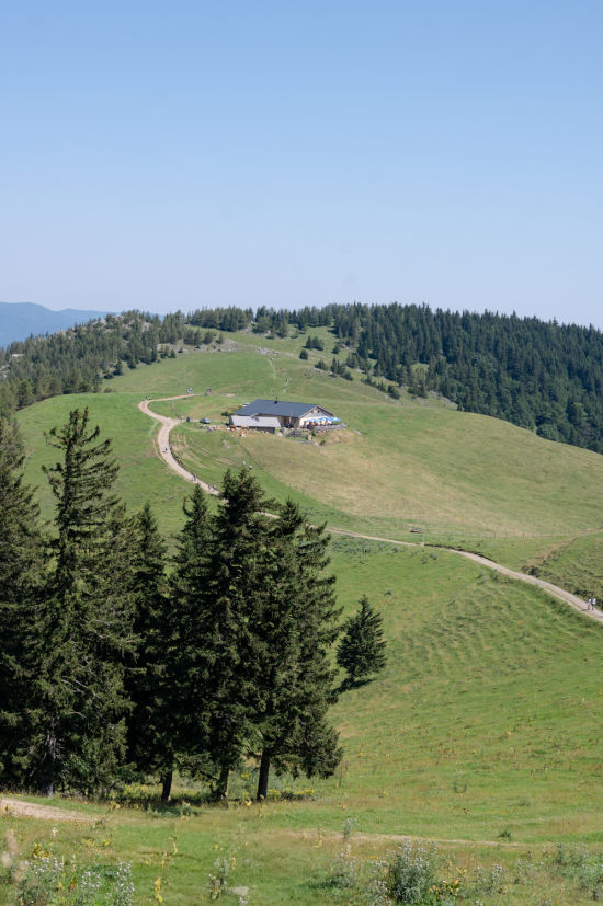 Aussicht aufs Almreserhaus am Schneeberg im Sommer