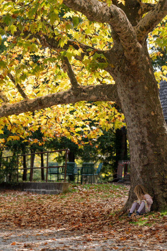 Kind unter einer Platane, Schlosspark Laxenburg