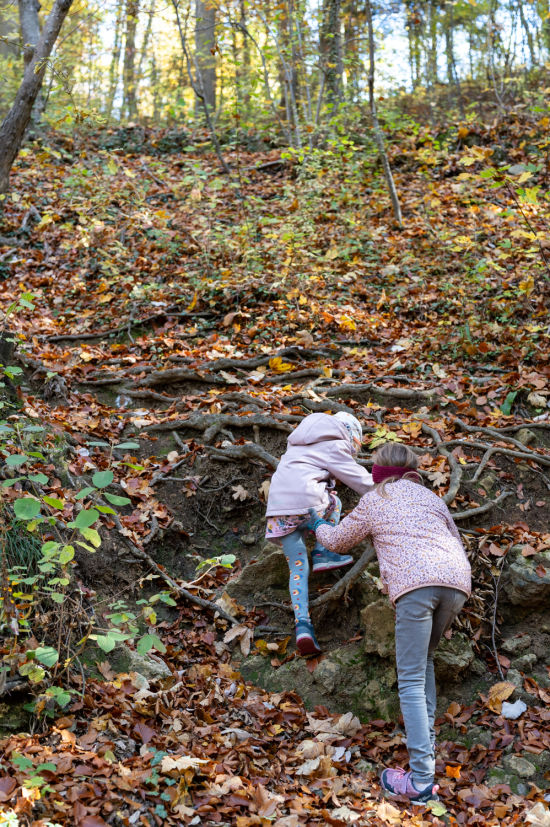 Kindern wandern zur Burg Seebenstein
