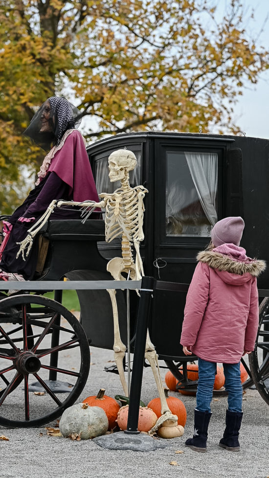 Gruseliger Herbst auf Schloss Hof, Hexenkutsche