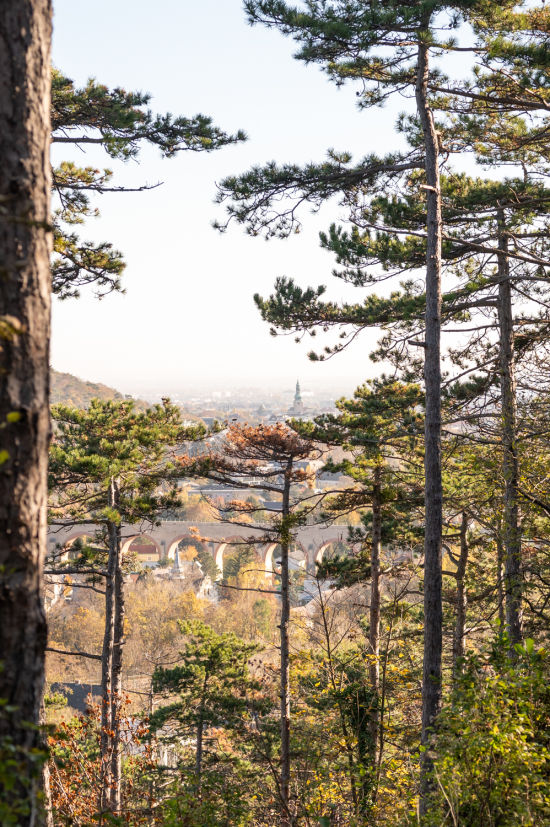 Blick auf Baden bei Wien bei der Wanderung zur Ruine Rauheneck