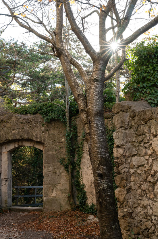 Ruine Rauheneck im Herbst, Wanderung in Baden bei Wien
