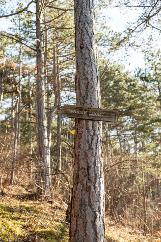Beschilderung Warme Lucke, Wanderung bei Ternitz