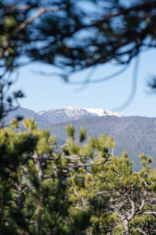 Aussicht auf den Schneeberg bei der Wanderung zum Naturdenkmal Warme Lucke