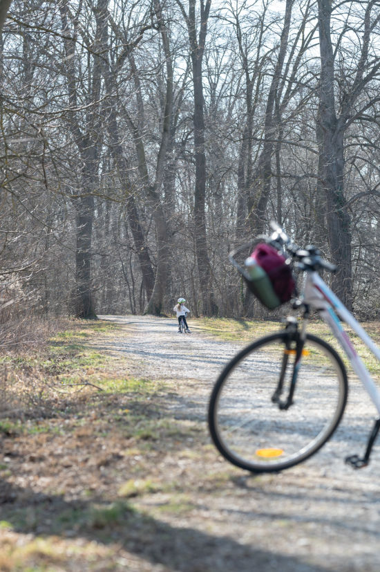Mädchen mit Rad in der Leitha Au in Katzelsdorf