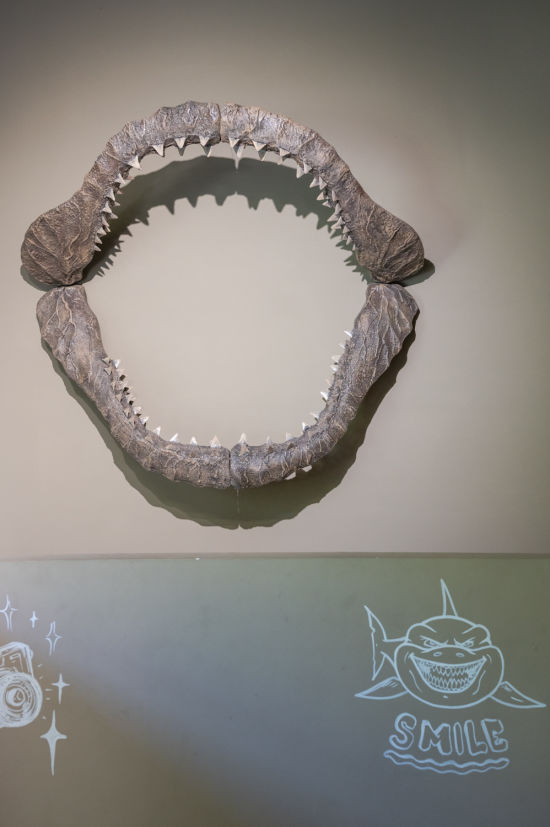 Haigebiss in der Fossilienwelt Weinviertel