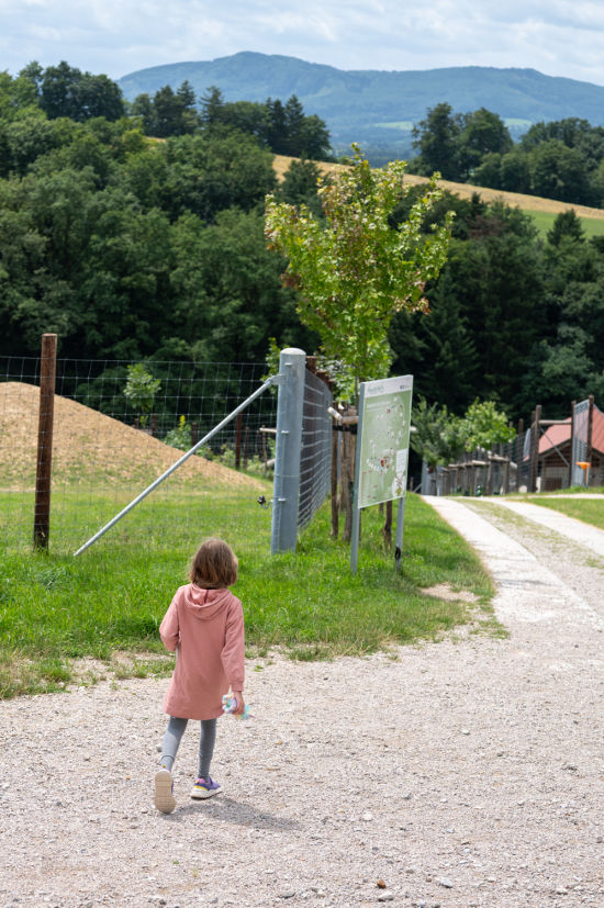 Panoramaweg im Wildpark Hochrieß