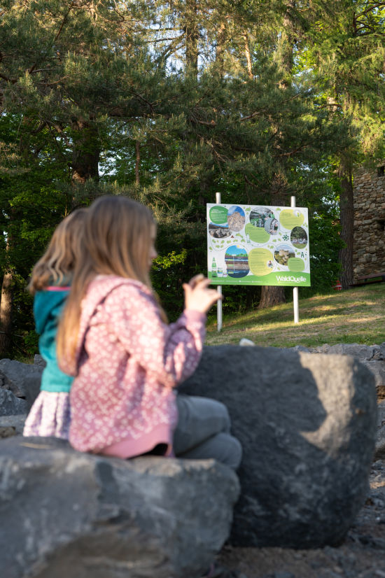 Picknickplatz am Kraftquellenweg bei der Ruine Landsee