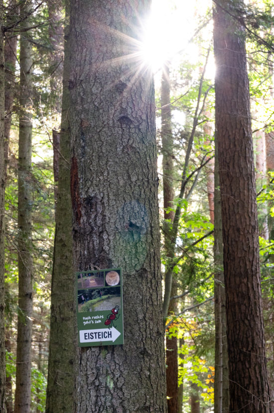 Beschilderung im Wald, Walderlebnispfad Gschaidt