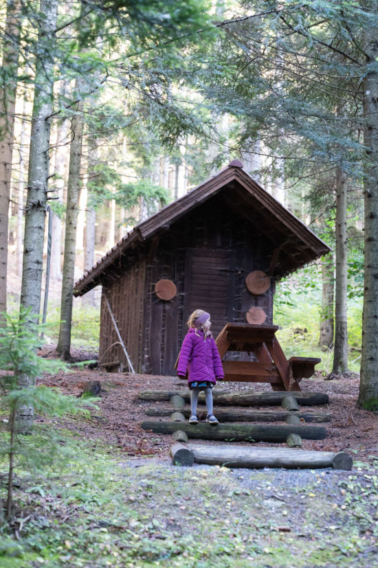 Hütte am Eisteich, Walderlebnisweg Gschaidt