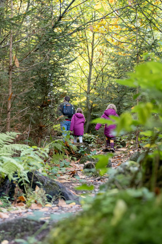 Unterwegs am Nebelstein Erlebnisweg 1
