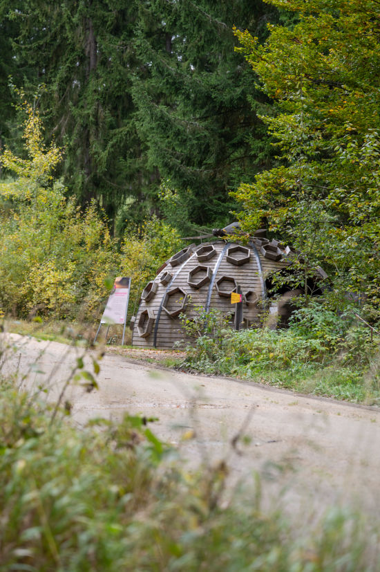 Moorkugel am Nebelstein Erlebnisweg, Waldviertel