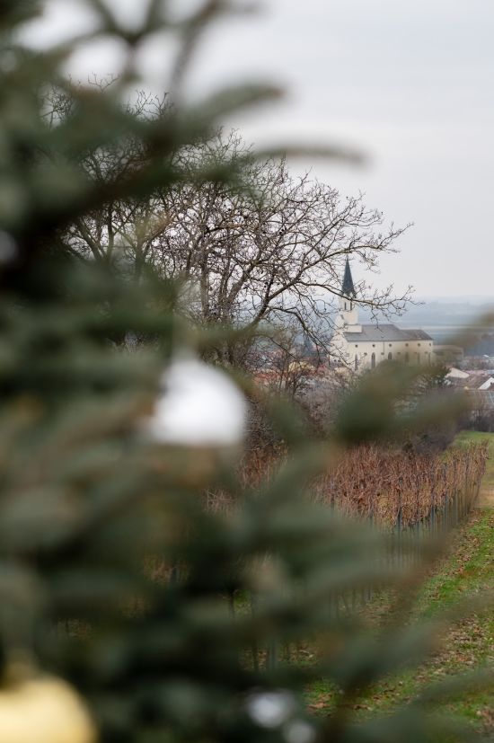Blick von der Loamgrui in Richtung Unterstinkenbrunn im Advent