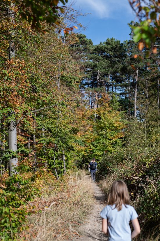 Kind am Waldweg am Größenberg