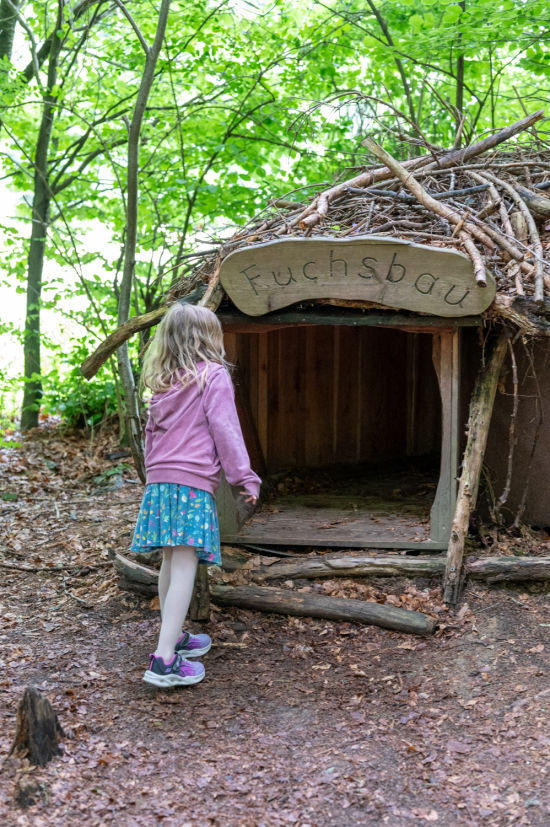 Fuchsbau im Wald, Themenweg Fuchsfährte in der Region Villach