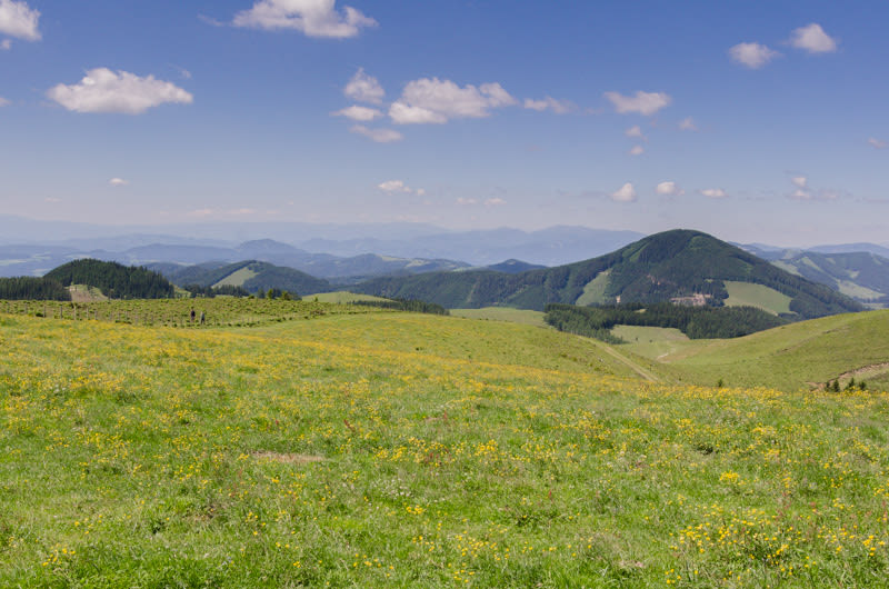Aussicht am Gipfelweg am Plankogel, Sommeralm