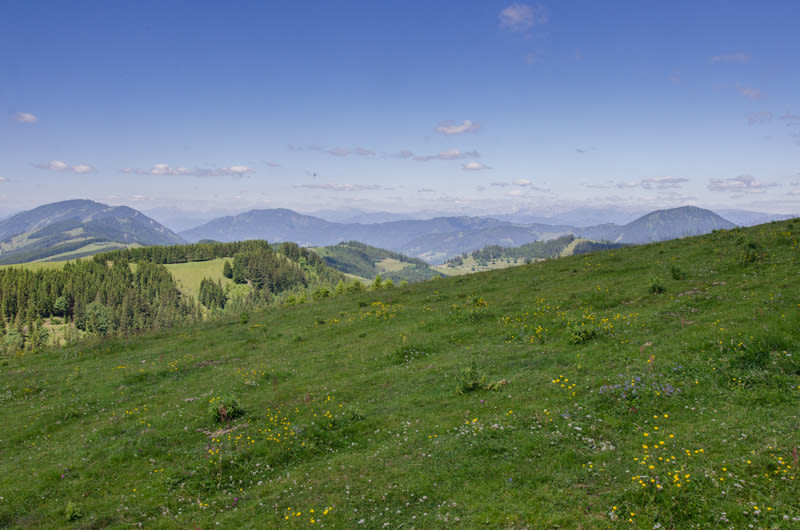 Rückweg zur Stoakogelhütte am Plankogel, Wanderung auf der Sommeralm