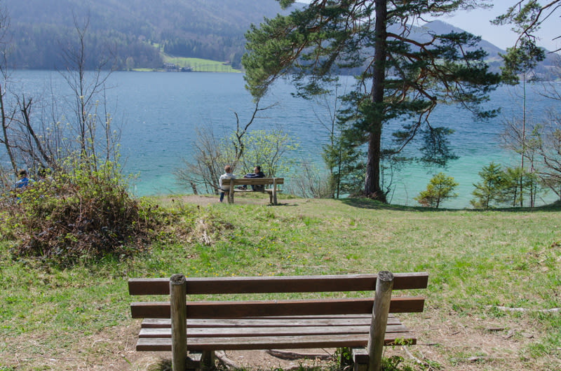 Blick auf den See am Rundwanderweg um den Fuschlsee