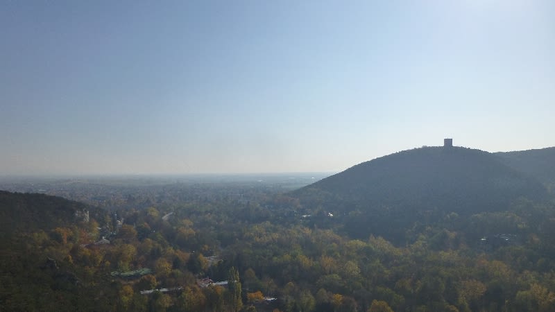 Aussicht auf die Ruine Rauheneck bei Baden