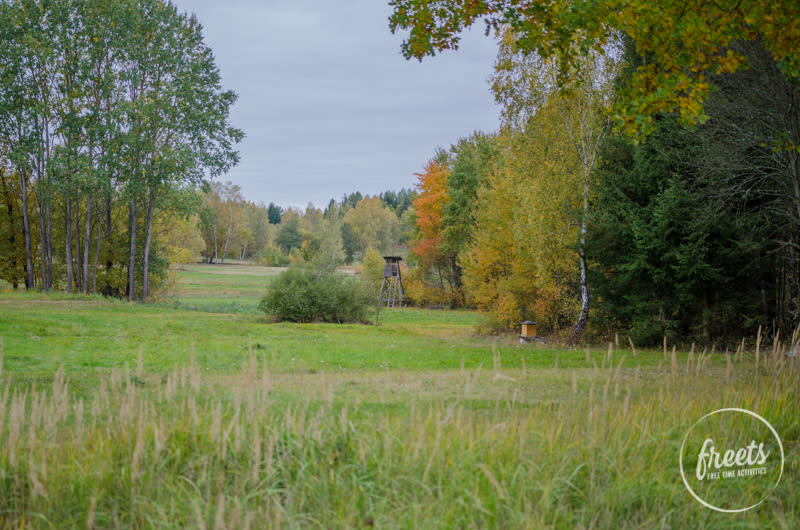 Landschaft in der Blockheide Gmünd im Herbst