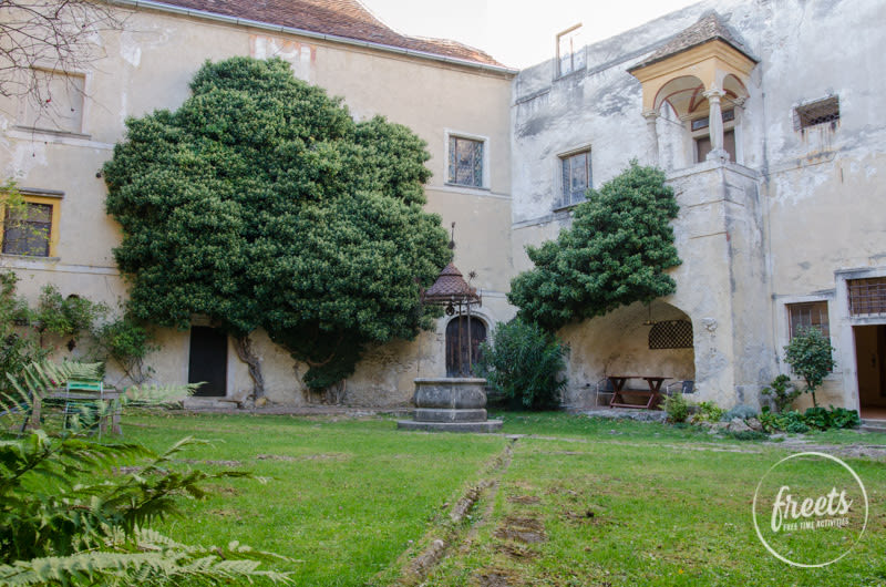 Innenhof Burg Seebenstein