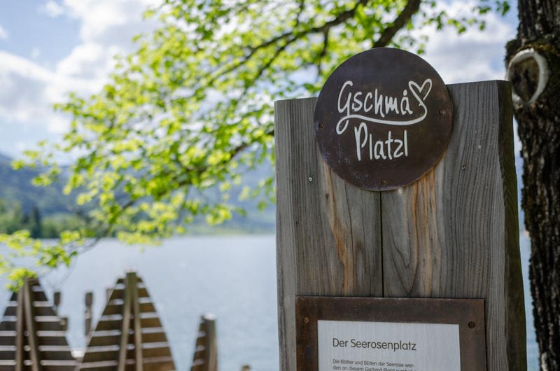 Gschma Platzerl auf der Bürglsteinrunde, Seerosenplatz