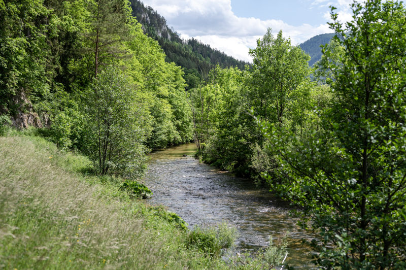 Naturpark Falkenstein