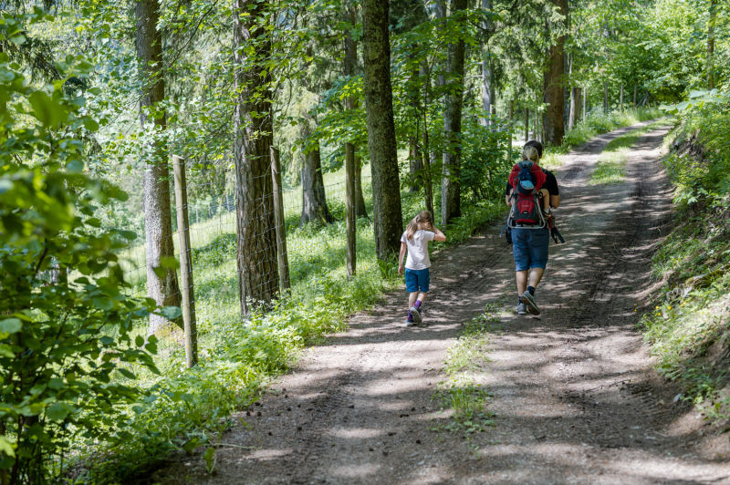 Naturpark Falkenstein