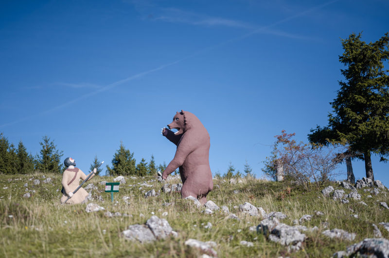 Höhlenbär nahe der Geländehütte, Wanderung am Gelände