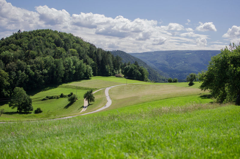 Weg, Mostrunde Steurer am Gutenmann