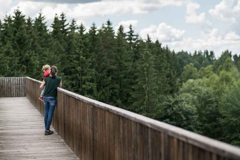 Aussicht genießen mit Kind auf der Himmelsleiter am Naturparkweg Hochmoor Schrems