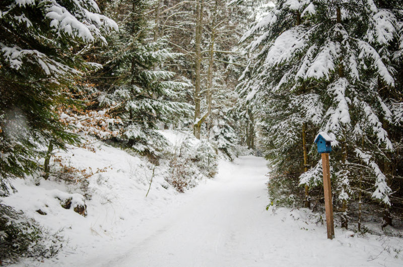 Wanderweg am Hutwisch im Winter