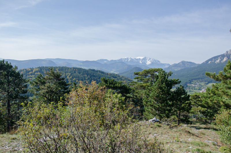 Gipfelwiese am Kienberg, Blick auf den Schneeberg