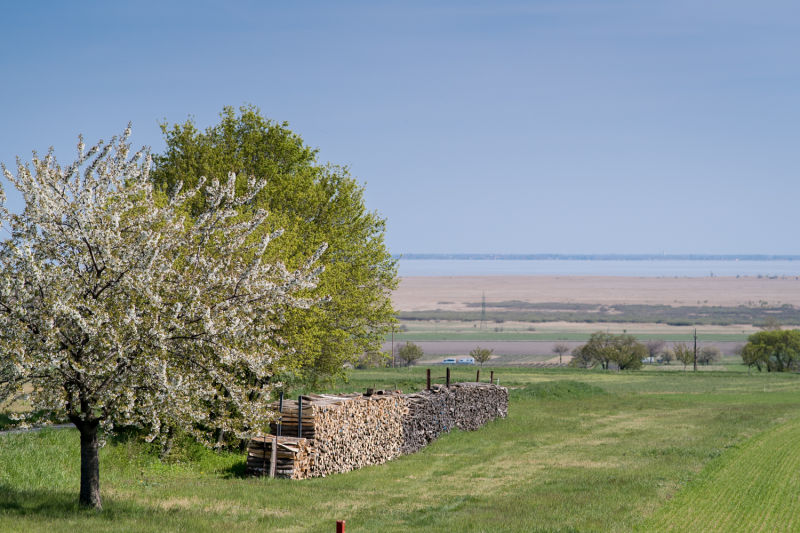 Kirschblütenradweg Neusiedlersee