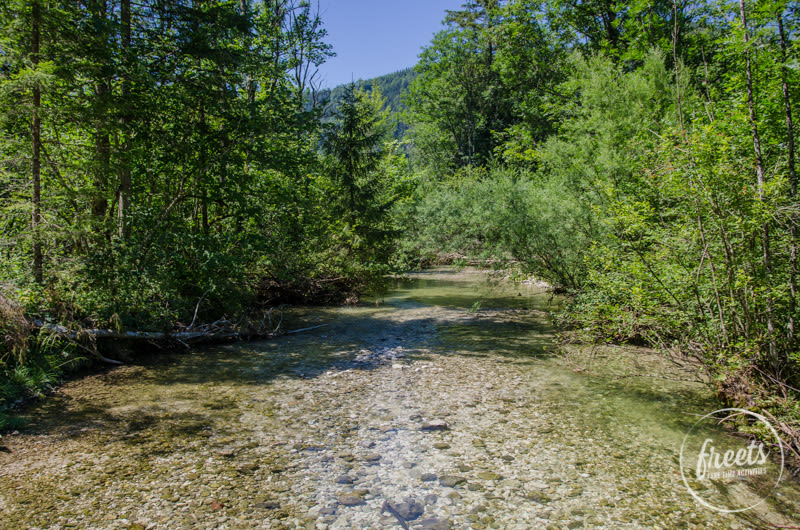 Zufluss Lunzer See