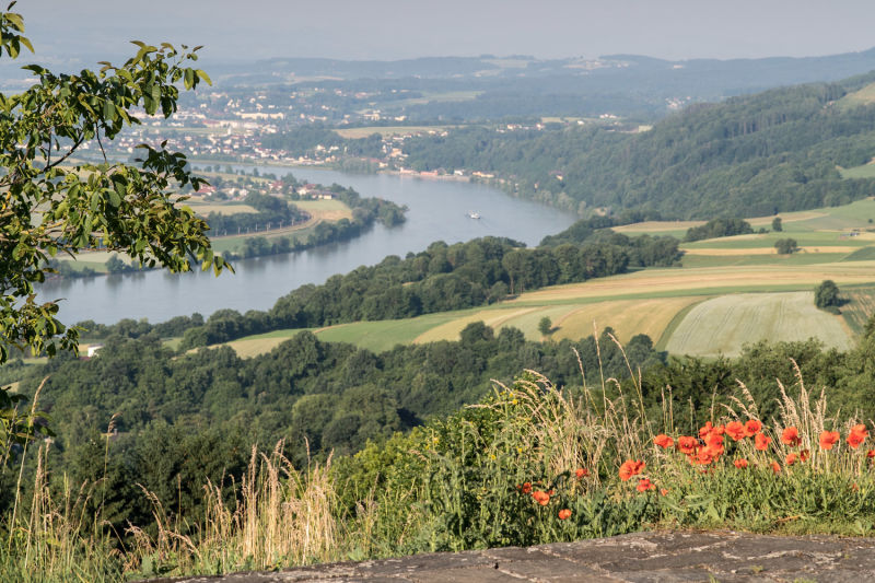 Blick auf die Donau von Maria Taferl aus
