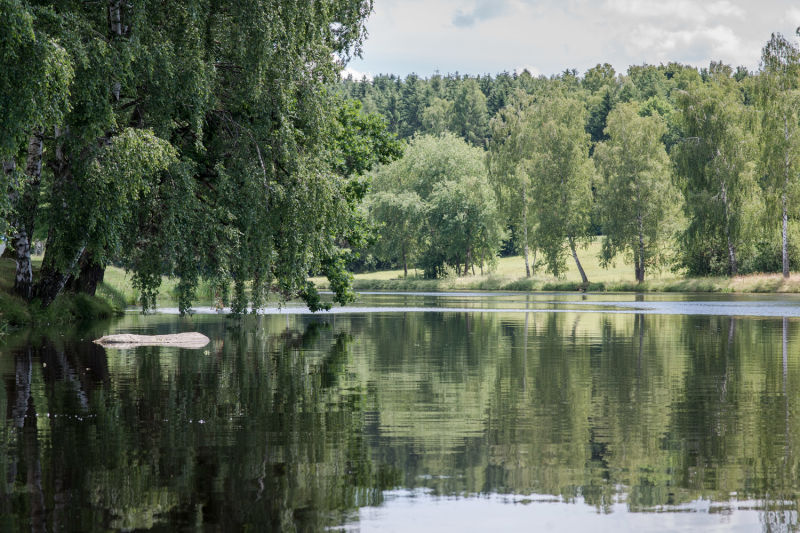 Moorbad Schrems, Teich