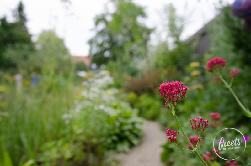 Blumen im Schaugarten Rainbows End
