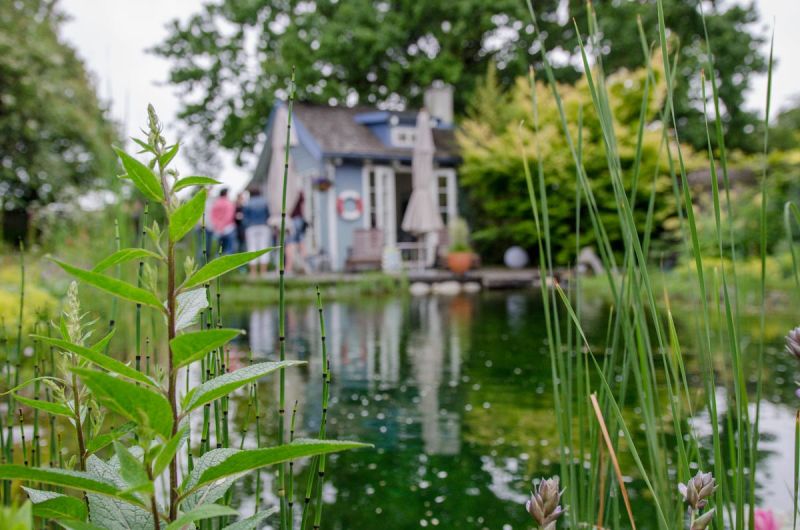 Gräser vor Schwimmteich; Rainbows End