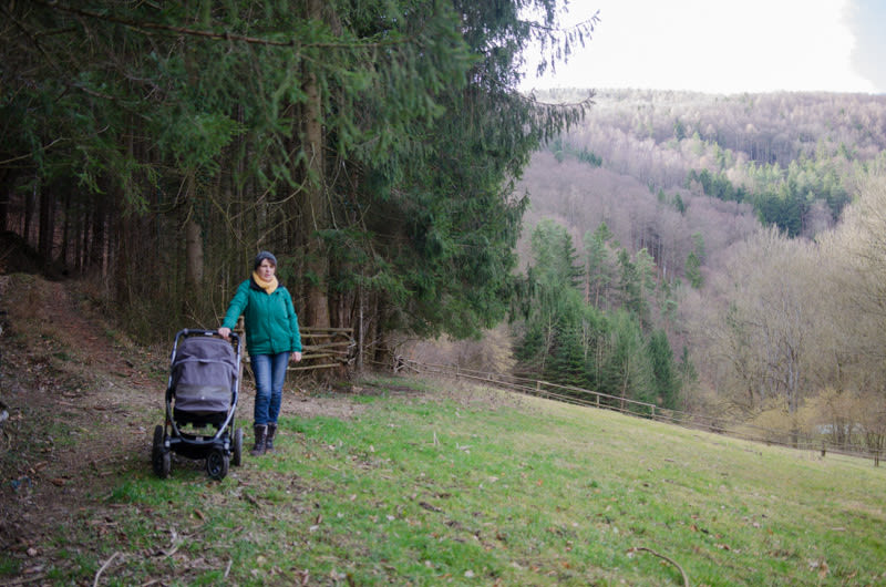 Bärlauchwiese am Leitn' Weg zwischen Scheiblingkirchen und Thernberg