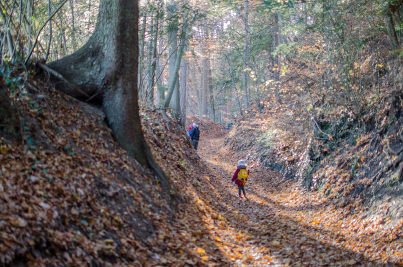 Familie wandert am Ruinenweg in Schrattenbach