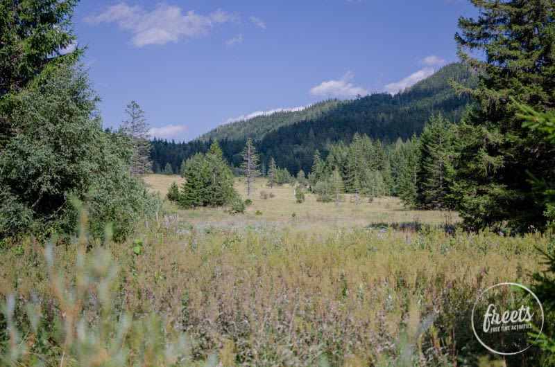 Landschaft bei der Maumauwiese in Puchberg am Schneeberg