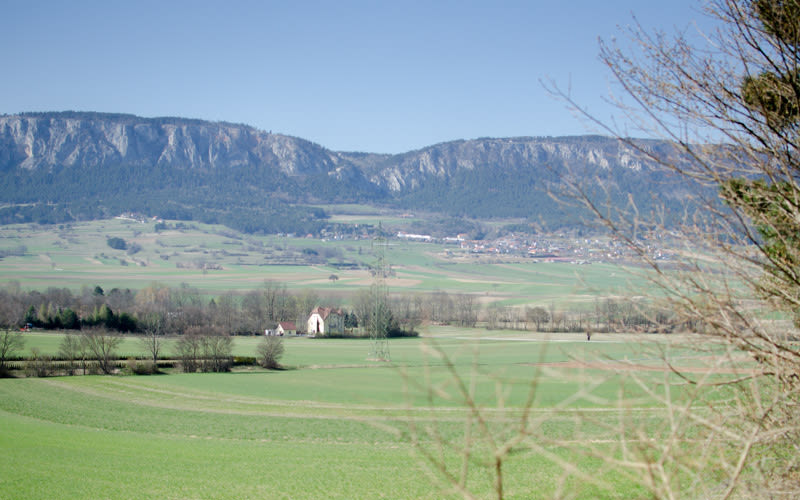 Dachensteinrunde Winzendorf