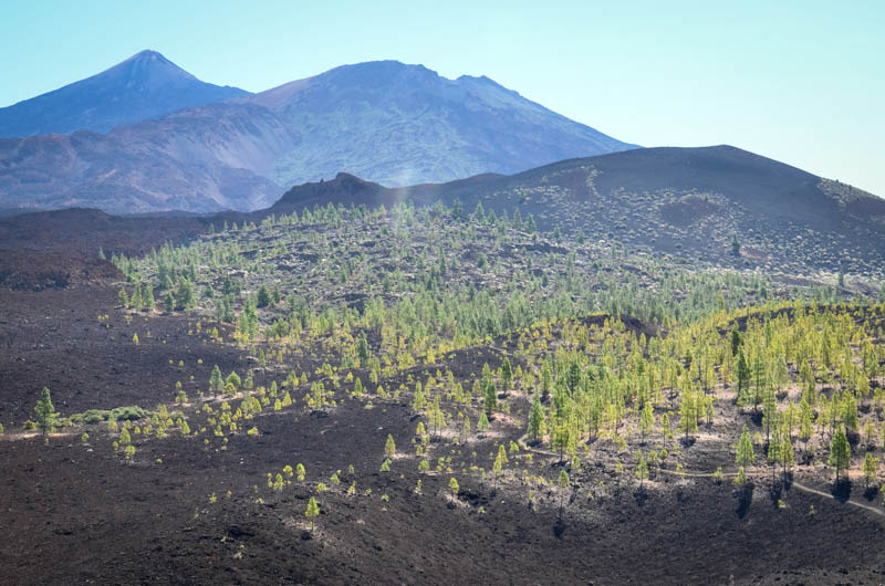 Teneriffa, Landschaft am Vulkan