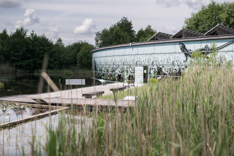 Wassergarten im UnterWasserReich Schrems Schrems, UnterWasserrReich, Steganlage im Wassergarten